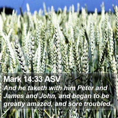 Mark 14:33 ASV Bible Verse Image