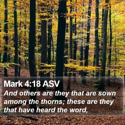 Mark 4:18 ASV Bible Verse Image