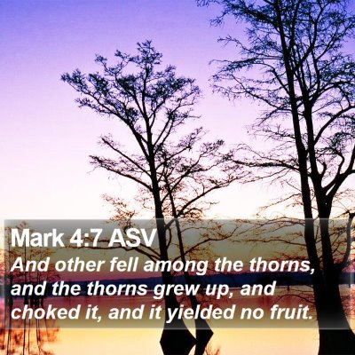 Mark 4:7 ASV Bible Verse Image