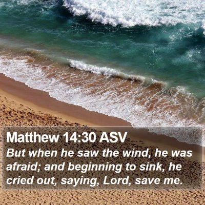 Matthew 14:30 ASV Bible Verse Image