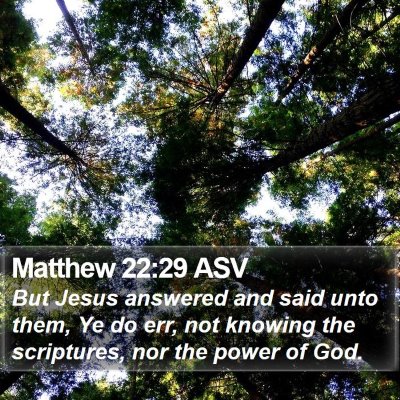 Matthew 22:29 ASV Bible Verse Image