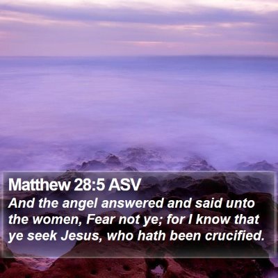 Matthew 28:5 ASV Bible Verse Image