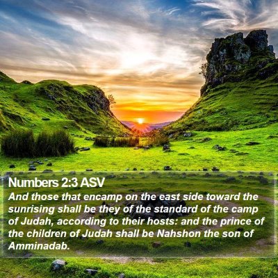 Numbers 2:3 ASV Bible Verse Image