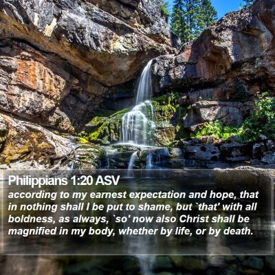 Philippians 1:20 ASV Bible Verse Image