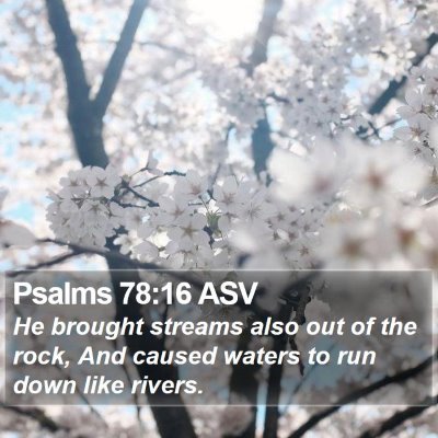 Psalms 78:16 ASV Bible Verse Image