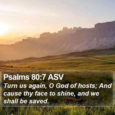 Psalms 80:7 ASV Bible Verse Image