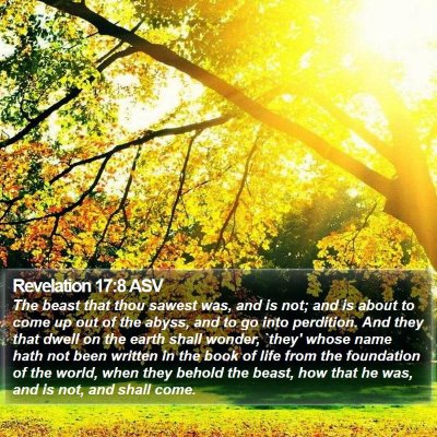 Revelation 17:8 ASV Bible Verse Image