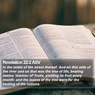 Revelation 22:2 ASV Bible Verse Image