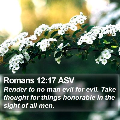 Romans 12:17 ASV Bible Verse Image