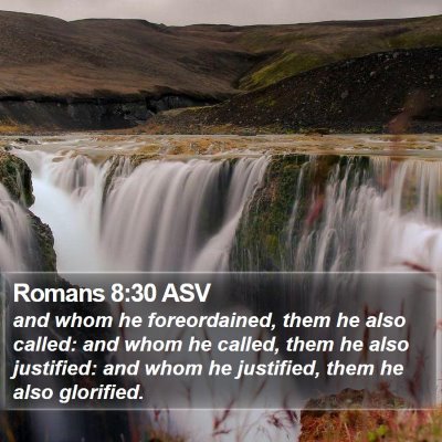 Romans 8:30 ASV Bible Verse Image