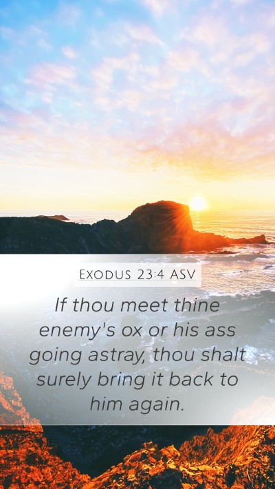 Exodus 23:4 ASV Mobile Phone Wallpaper - If thou meet thine enemy's ox or his ass going - Mobile Bible Verse Wallpaper