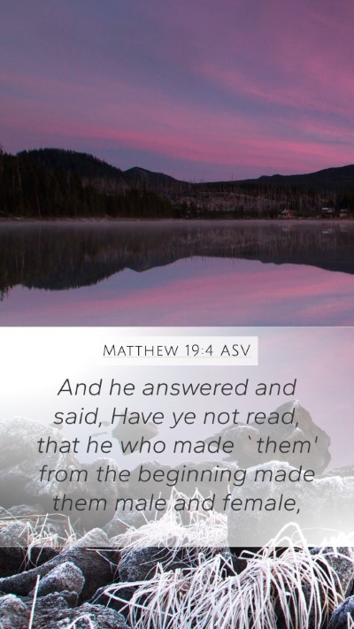 Matthew 19:4 ASV Mobile Phone Wallpaper - And he answered and said, Have ye not read, that - Mobile Bible Verse Wallpaper