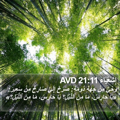 إِشَعْيَاءَ 21:11 AVD Bible Verse Image