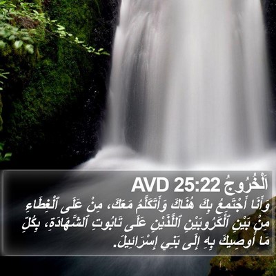 اَلْخُرُوجُ 25:22 AVD Bible Verse Image