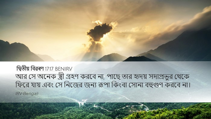 দ্বিতীয় বিৱৰণ 17:17 BENIRV Bible Verse Image