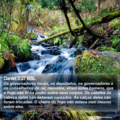 Daniel 3:27 BSL Bible Verse Image