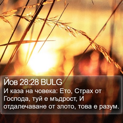 Йов 28:28 BULG Bible Verse Image