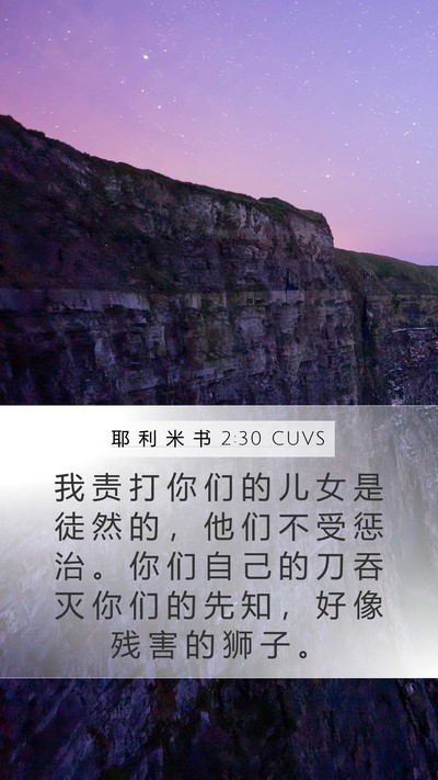 耶 利 米 书 2:30 CUVS Mobile Phone Wallpaper - 我 责 打 你 们 的 儿 女 是 徒 然 的 - Mobile Bible Verse Wallpaper