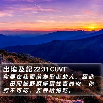 出 埃 及 記 22:31 CUVT Bible Verse Image