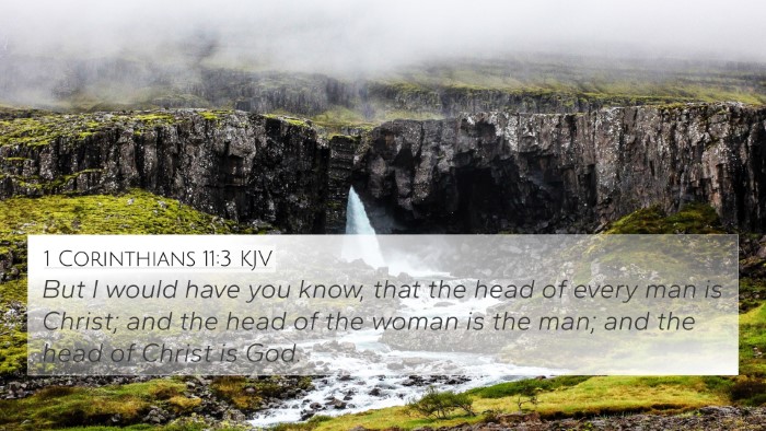 1 Corinthians 11:3 KJV Bible Verse Image