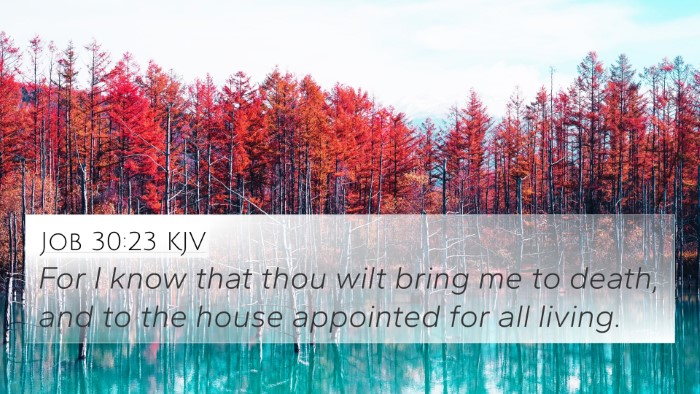 Job 30:23 KJV 4K Wallpaper - For I know that thou wilt bring me to death, and - 4K Wallpaper Bible Verse