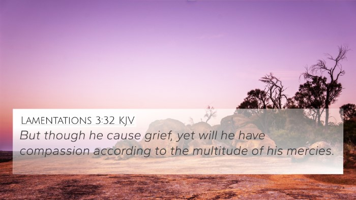 Lamentations 3:32 KJV Bible Verse Image