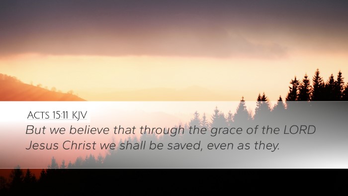 Acts 15:11 KJV Desktop Wallpaper - But we believe that through the grace of the LORD - Desktop Bible Verse Wallpaper