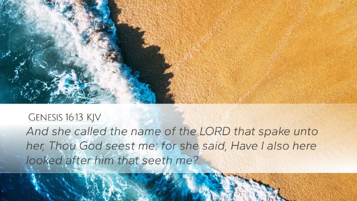 Genesis 16:13 KJV Desktop Wallpaper - And she called the name of the LORD that spake - Desktop Bible Verse Wallpaper