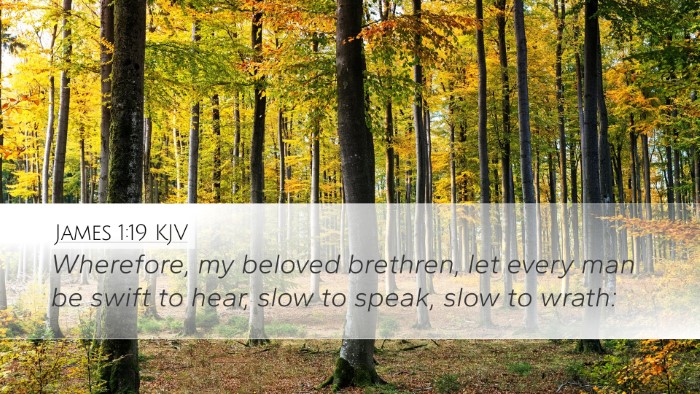 James 1:19 KJV Desktop Wallpaper - Wherefore, my beloved brethren, let every man be - Desktop Bible Verse Wallpaper