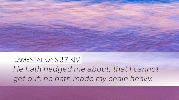 Lamentations 3:7 KJV Desktop Wallpaper - He hath hedged me about, that I cannot get out: - Desktop Bible Verse Wallpaper