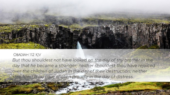 Obadiah 1:12 KJV Desktop Wallpaper - But thou shouldest not have looked on the day of - Desktop Bible Verse Wallpaper