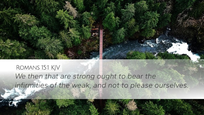 Romans 15:1 KJV Desktop Wallpaper - We then that are strong ought to bear the - Desktop Bible Verse Wallpaper