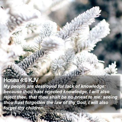 Hosea 4:6 KJV Bible Verse Image