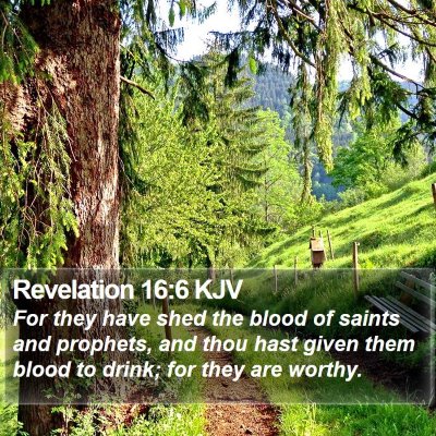 Revelation 16:6 KJV Bible Verse Image