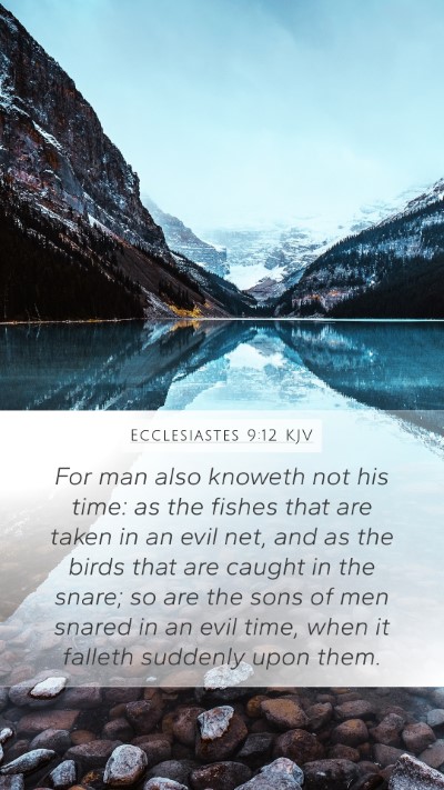 Ecclesiastes 9:12 KJV Mobile Phone Wallpaper - For man also knoweth not his time: as the fishes - Mobile Bible Verse Wallpaper