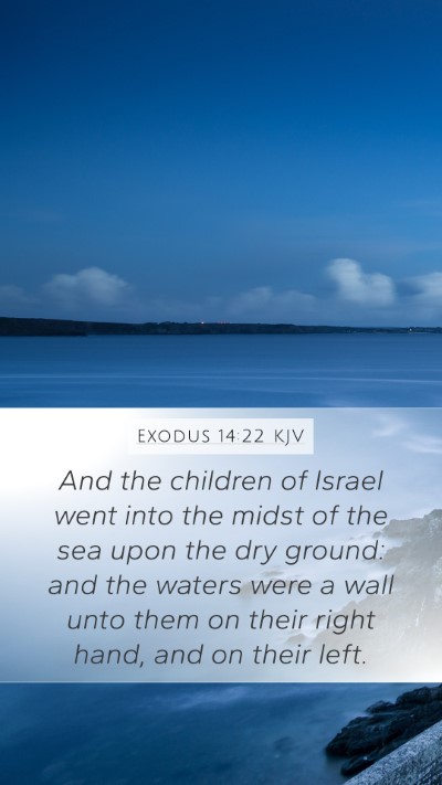 Exodus 14:22 KJV Mobile Phone Wallpaper - And the children of Israel went into the midst of - Mobile Bible Verse Wallpaper