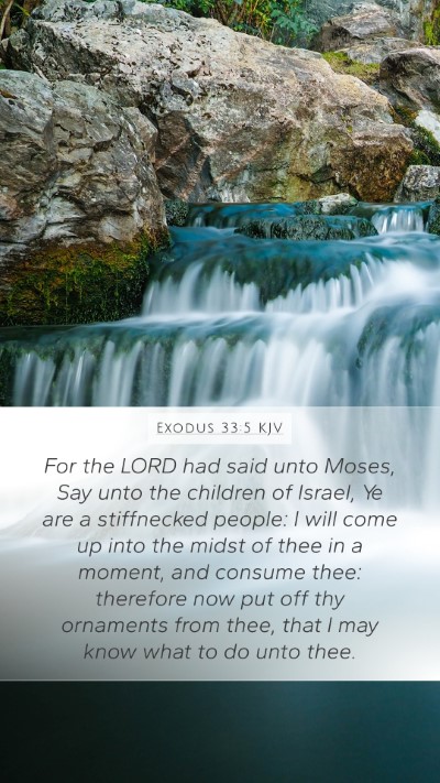 Exodus 33:5 KJV Mobile Phone Wallpaper - For the LORD had said unto Moses, Say unto the - Mobile Bible Verse Wallpaper