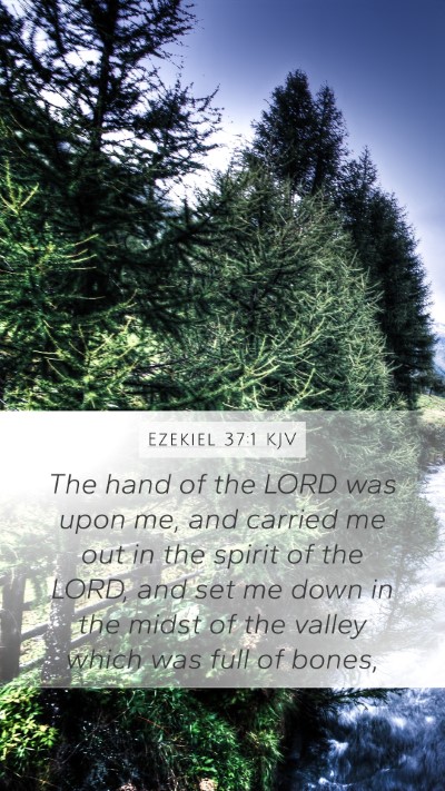 Ezekiel 37:1 KJV Mobile Phone Wallpaper - The hand of the LORD was upon me, and carried me - Mobile Bible Verse Wallpaper