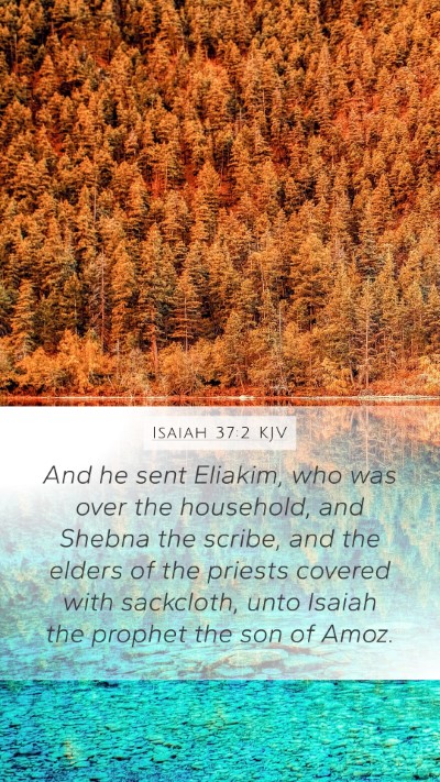 Isaiah 37:2 KJV Mobile Phone Wallpaper - And he sent Eliakim, who was over the household, - Mobile Bible Verse Wallpaper