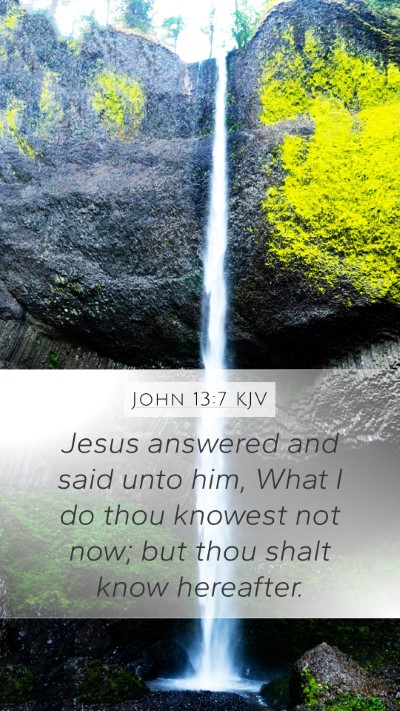 John 13:7 KJV Mobile Phone Wallpaper - Jesus answered and said unto him, What I do thou - Mobile Bible Verse Wallpaper