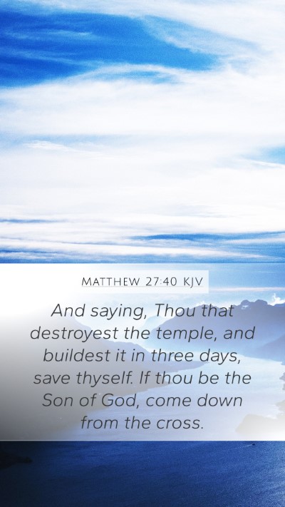 Matthew 27:40 KJV Mobile Phone Wallpaper - And saying, Thou that destroyest the temple, and - Mobile Bible Verse Wallpaper