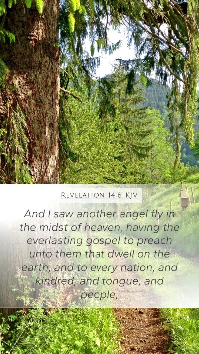 Revelation 14:6 KJV Mobile Phone Wallpaper - And I saw another angel fly in the midst of - Mobile Bible Verse Wallpaper