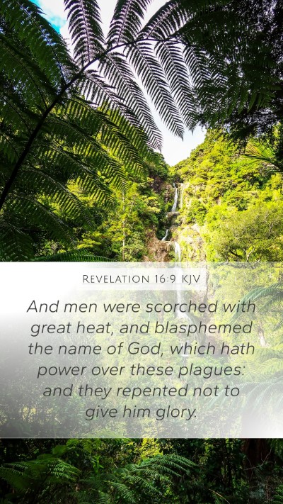 Revelation 16:9 KJV Mobile Phone Wallpaper - And men were scorched with great heat, and - Mobile Bible Verse Wallpaper