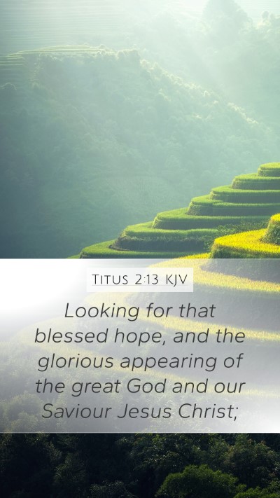 Titus 2:13 KJV Mobile Phone Wallpaper - Looking for that blessed hope, and the glorious - Mobile Bible Verse Wallpaper