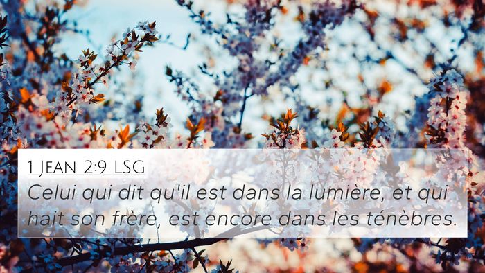 1 Jean 2:9 LSG 4K Wallpaper - Celui qui dit qu'il est dans la lumière, et qui - 4K Wallpaper Bible Verse