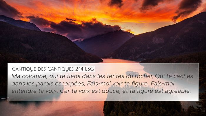 Cantique des Cantiques 2:14 LSG Bible Verse Image