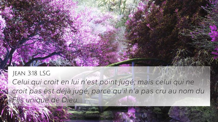 Jean 3:18 LSG 4K Wallpaper - Celui qui croit en lui n'est point jugé; mais - 4K Wallpaper Bible Verse