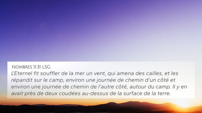 Nombres 11:31 LSG 4K Wallpaper - L'Eternel fit souffler de la mer un vent, qui - 4K Wallpaper Bible Verse