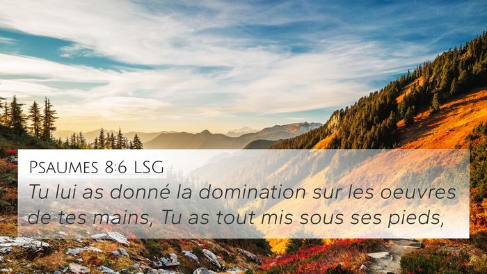 Psaumes 8:6 LSG 4K Wallpaper - Tu lui as donné la domination sur les oeuvres de - 4K Wallpaper Bible Verse