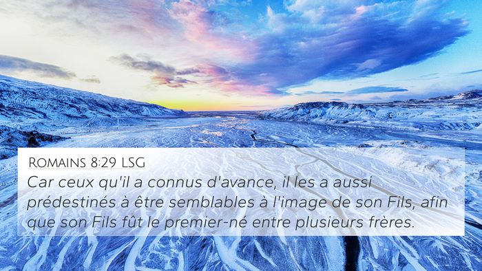 Romains 8:29 LSG 4K Wallpaper - Car ceux qu'il a connus d'avance, il les a aussi - 4K Wallpaper Bible Verse